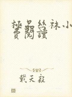 极品丝袜小说免费阅读