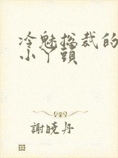 冷魅总裁的纯纯小丫头