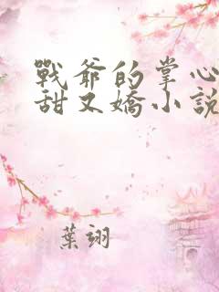 战爷的掌心宠又甜又娇小说