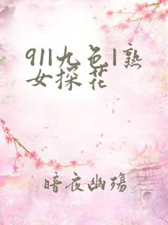 91|九色|熟女探花