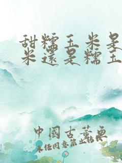甜糯玉米是甜玉米还是糯玉米