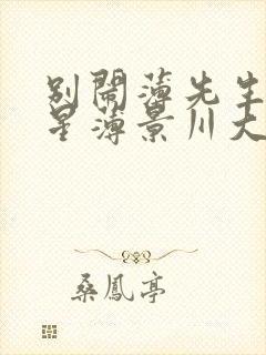别闹薄先生沈繁星薄景川大全
