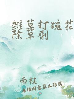 杂草打碗花专用除草剂