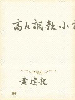 高h调教小说文
