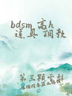 bdsm 高h 道具 调教 文