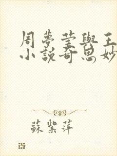 周梦莹与王伟忠小说奇思妙想免费阅读