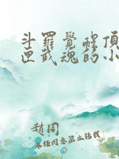斗罗觉醒顶级剑匣武魂的小说
