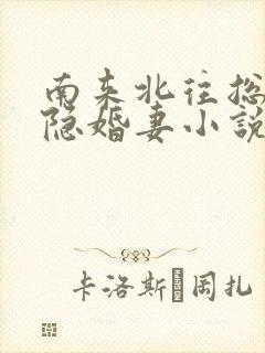 南来北往总裁的隐婚妻小说