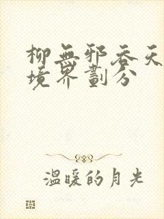 柳无邪吞天神鼎境界划分