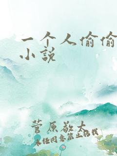 一个人偷偷看的小说