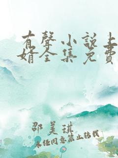 有声小说上门龙婿全集免费听