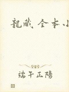 龙藏 全本小说