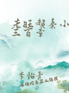 老旺超秦小雨第三百章