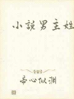 小说男主姓沈