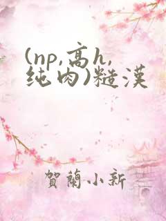 (np,高h,纯肉)糙汉