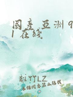 国产 亚洲 91 在线