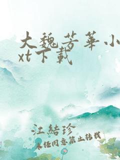 大魏芳华小说txt下载