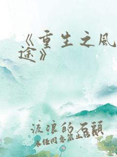 《重生之风流仕途》