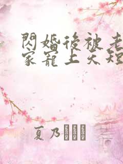 闪婚后被老公全家宠上天短剧全集