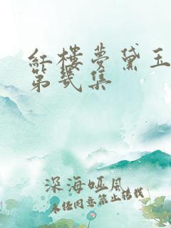 红楼梦黛玉葬花第几集
