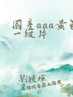 国产aaa黄色一级片
