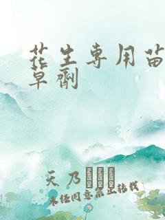 花生专用苗后除草剂