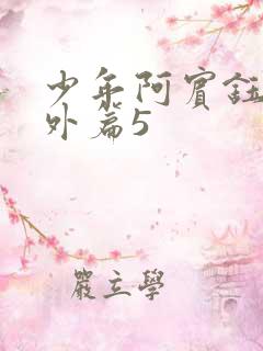 少年阿宾钰慧番外篇5