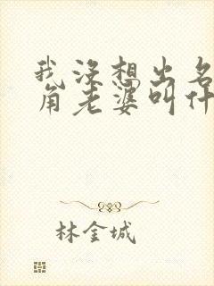 我没想出名啊主角老婆叫什么