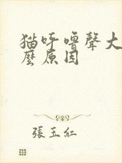 猫呼噜声大是什么原因
