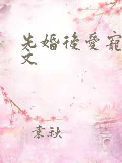 先婚后爱宠文甜文
