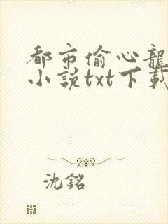 都市偷心龙爪手小说txt下载