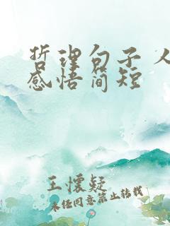 哲理句子 人生感悟简短