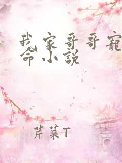 我家哥哥宠妹如命小说