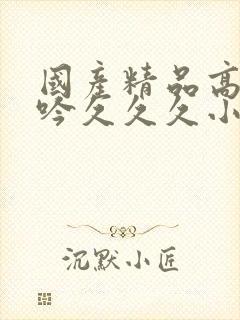 国产精品高潮呻吟久久久小说