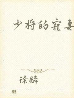 少将的宠妻之路
