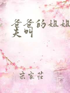 爸爸的姐姐的丈夫叫