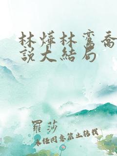 林烨林鸾乔念小说大结局