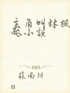 主角叫林枫的穿越小说