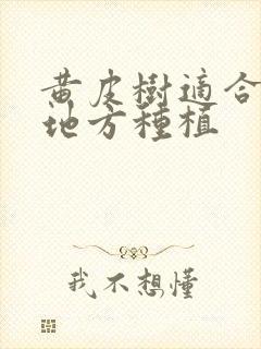 黄皮树适合什么地方种植