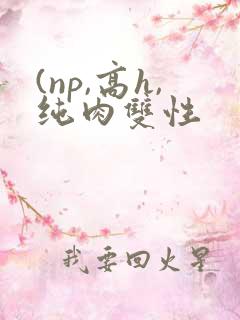 (np,高h,纯肉双性