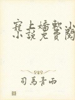 宠上娇软小甜妻小说免费阅读