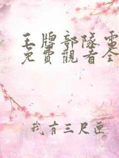 王牌部队电视剧免费观看全集