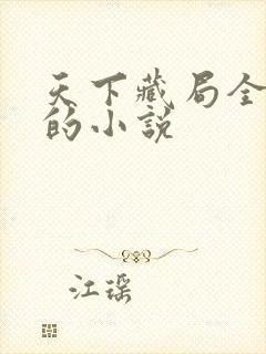 天下藏局全免费的小说