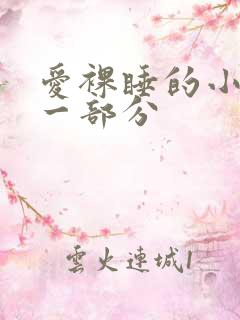 爱裸睡的小丹第一部分