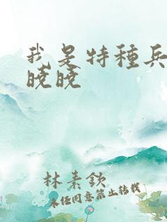 我是特种兵2林晓晓