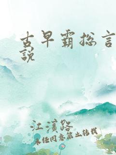 古早霸总言情小说