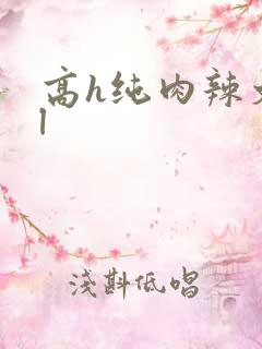高h纯肉辣文bl