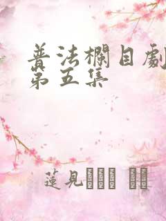 普法栏目剧傻妻第五集