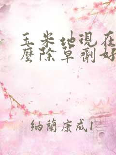 玉米地现在打什么除草剂好