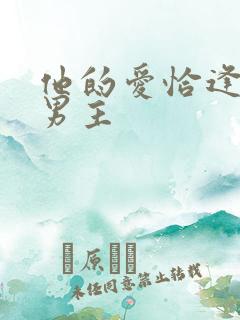 他的爱恰逢其时男主